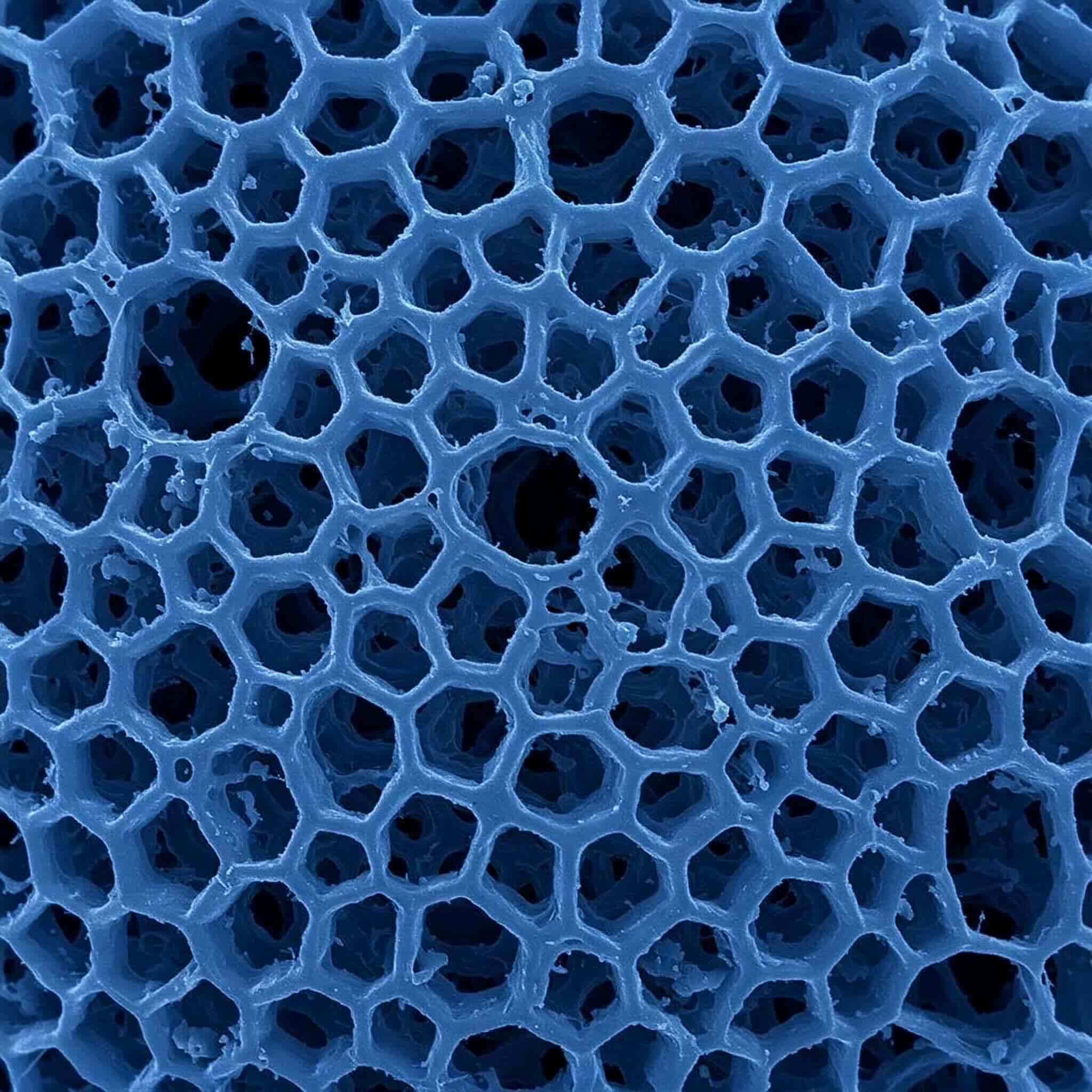 Foam1